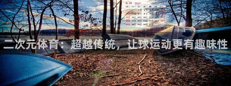 二次元体育：超越传统，让球运动更有趣味性